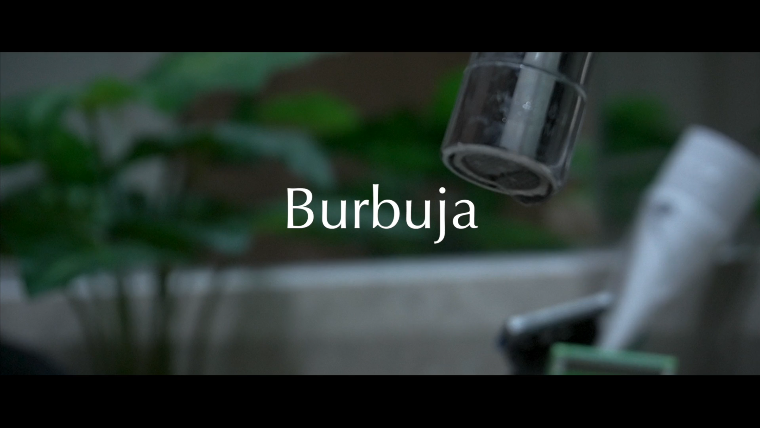 Burbuja